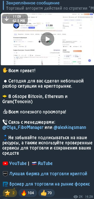 фибо трейдер фибо трейдер