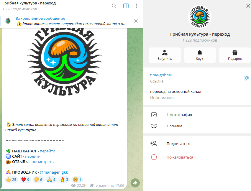 грибная культура грибная культура