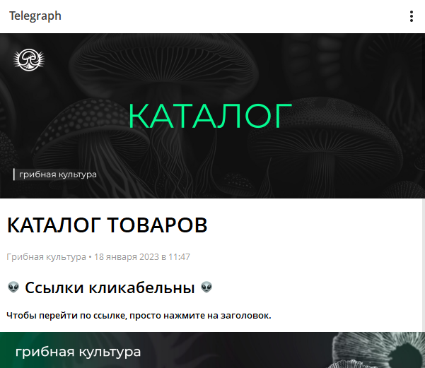 грибная культура грибная культура