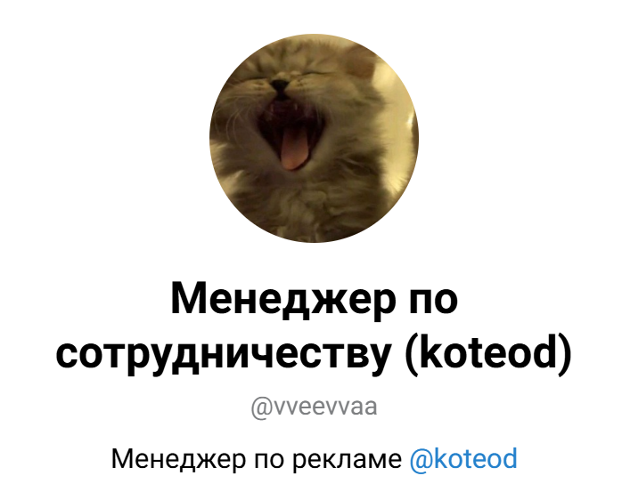 koteod скам koteod скам