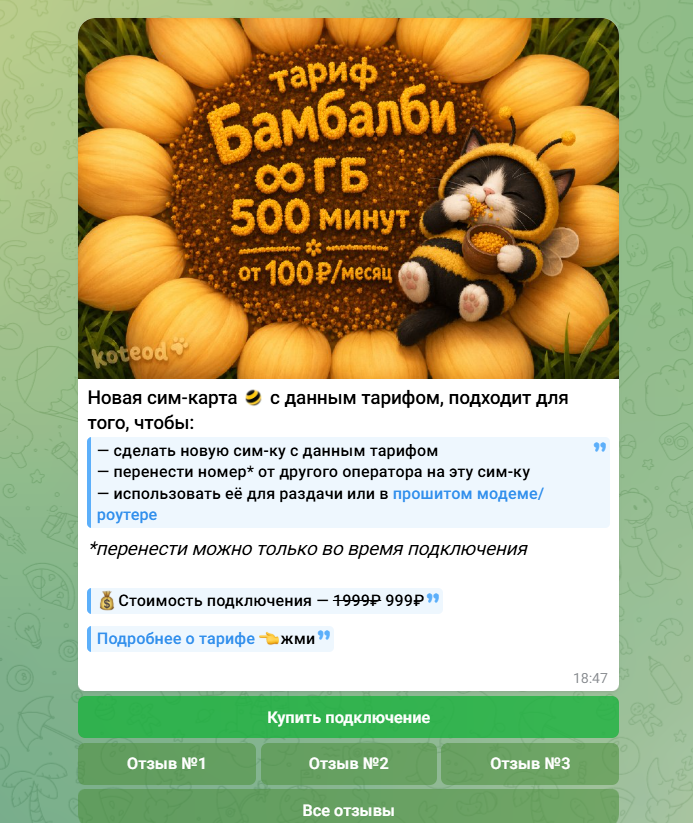 koteod тг koteod тг