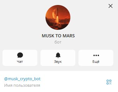 musk crypto bot musk crypto bot