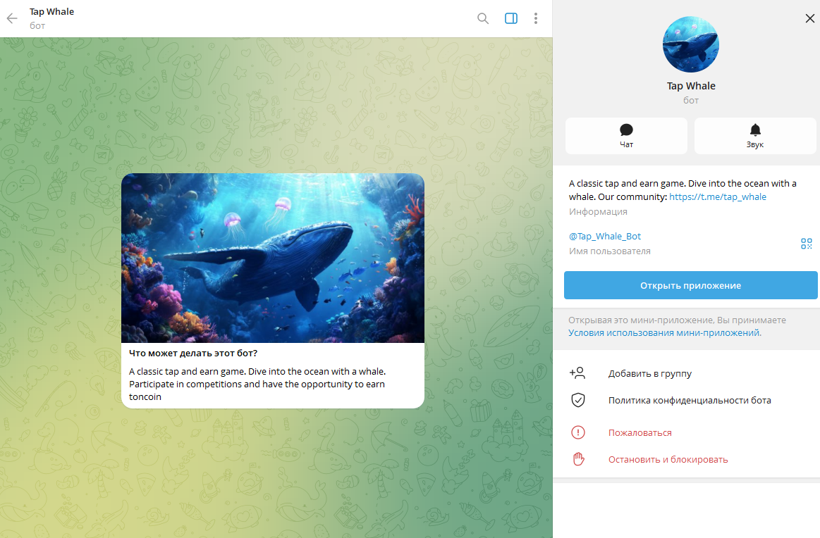 Tap Whale Tap Whale