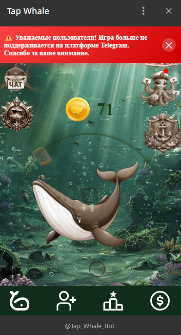 Tap Whale Tap Whale