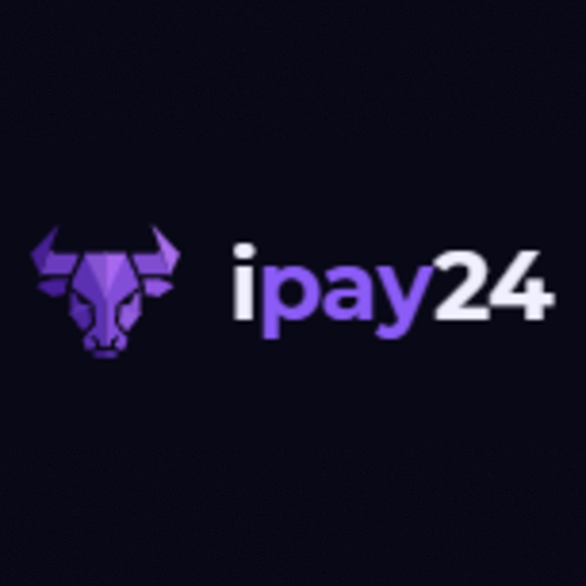 Ipay24