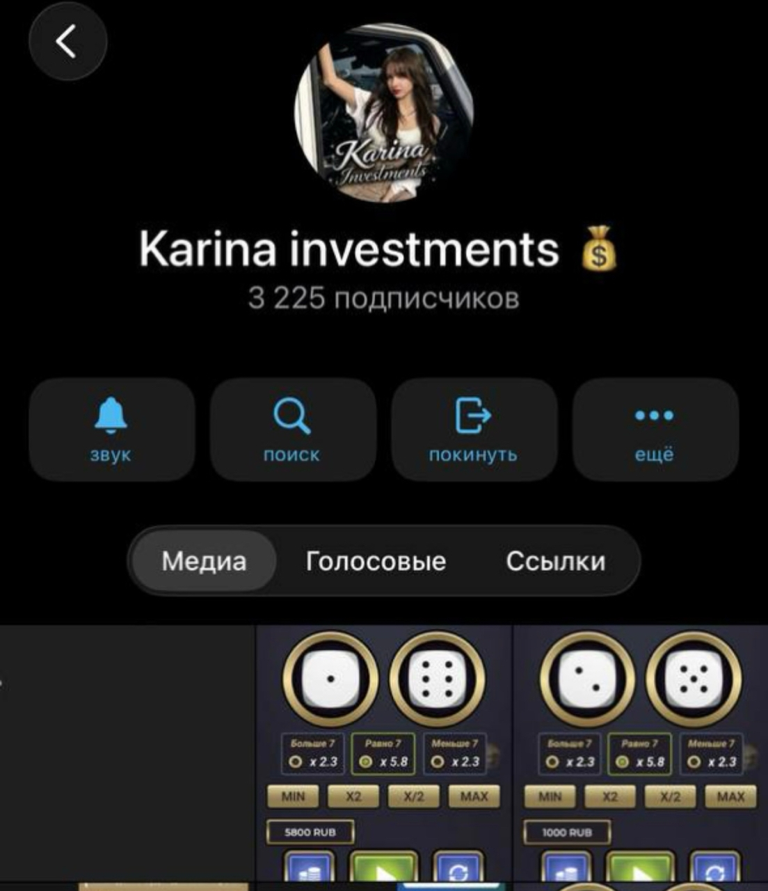 karina investments karina investments