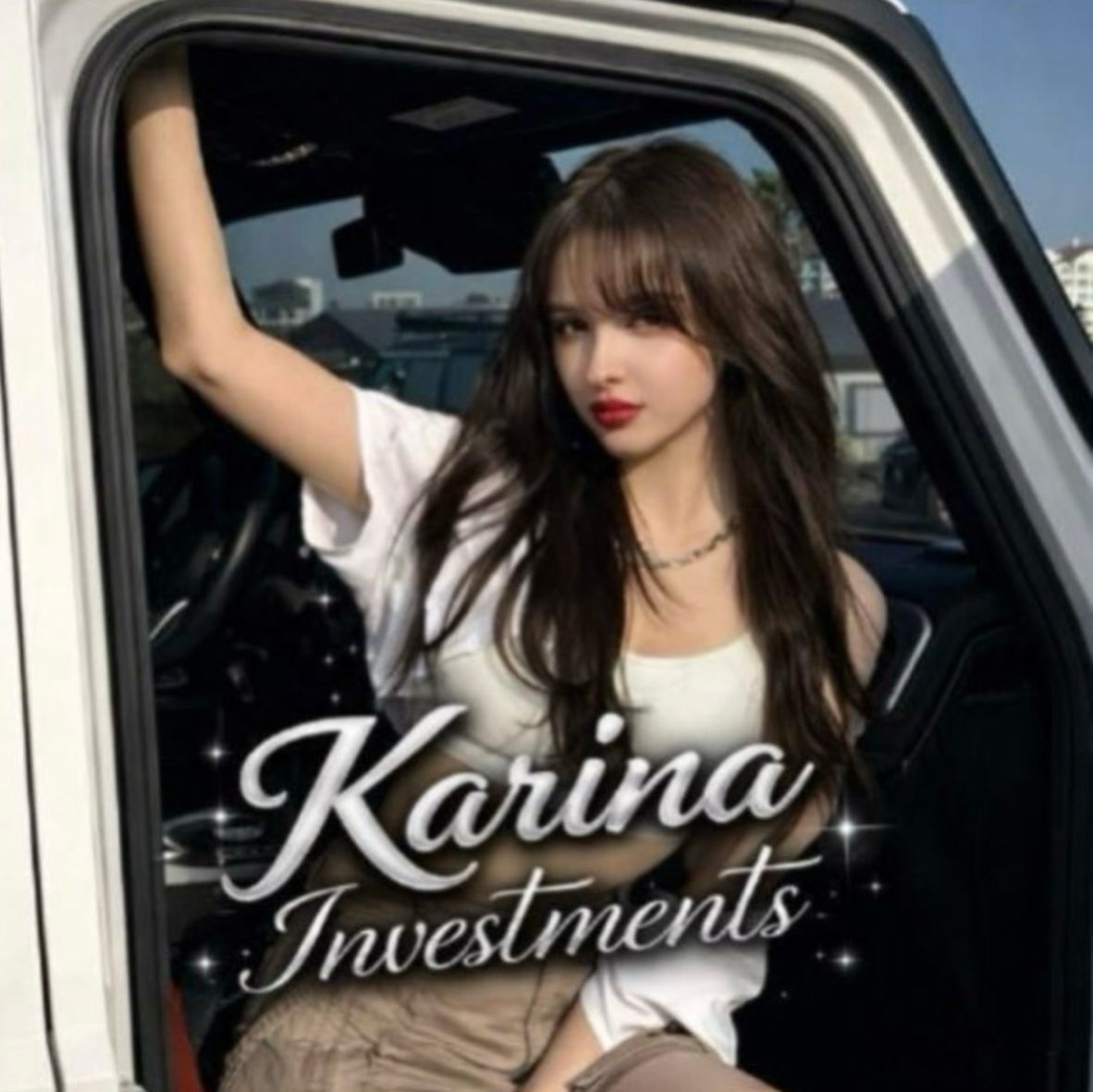 Karina Investments