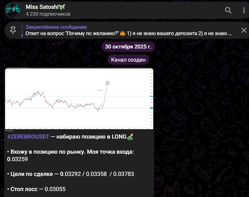 мисс сатоши мисс сатоши