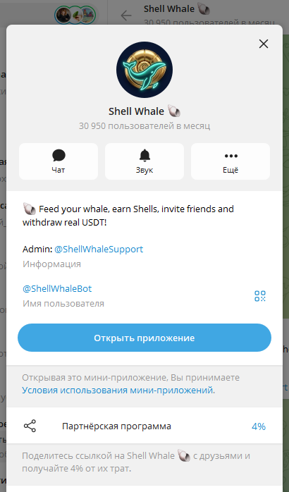 shell whale shell whale