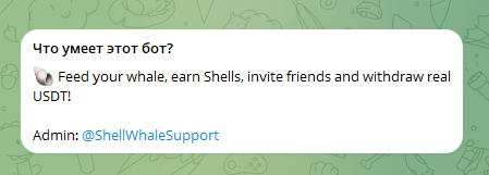 @ShellWhaleSupport @ShellWhaleSupport