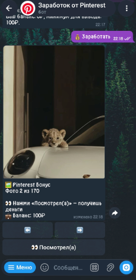 тг бот karnaval premium bot заработок пинтерест тг бот karnaval premium bot заработок пинтерест