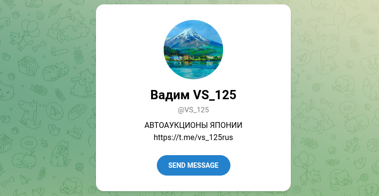 vs 125 автомобили в телеграмм отзывы vs 125 автомобили в телеграмм отзывы