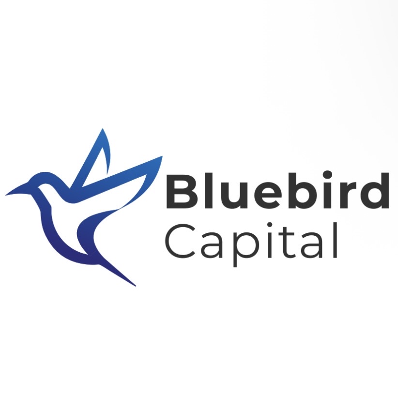 Bluebirdsrl Com
