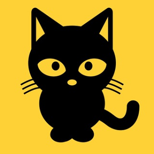 Catcard