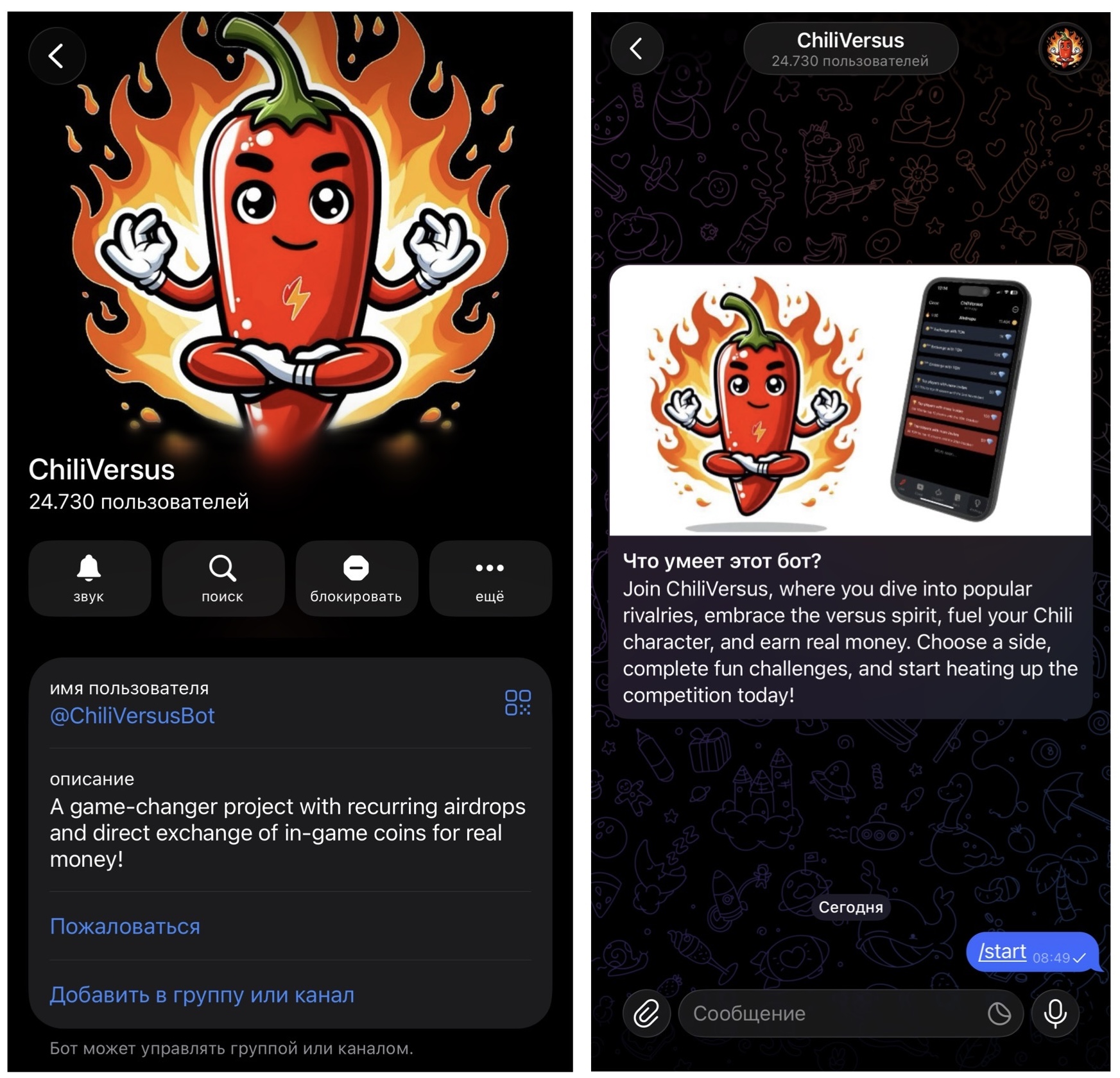 chiliversus chiliversus