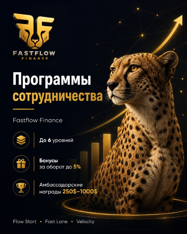 Fast Flow Finance Fast Flow Finance