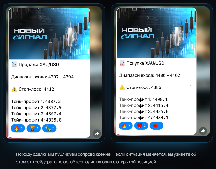 королевство форекса отзывы королевство форекса отзывы
