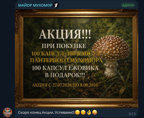 майор мухомор telegram отзывы майор мухомор telegram отзывы