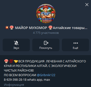 майор мухомор telegram отзывы майор мухомор telegram отзывы