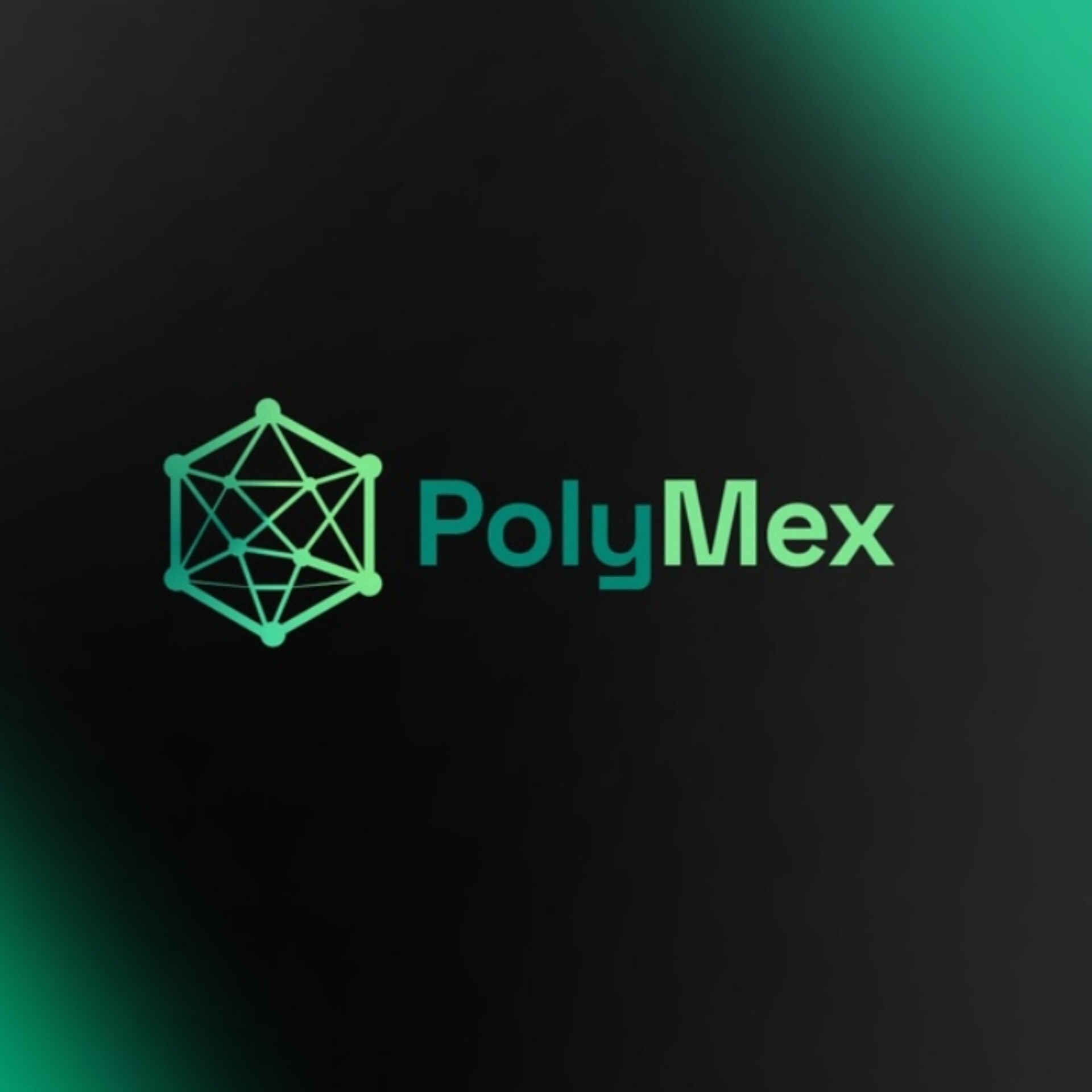 Polymex