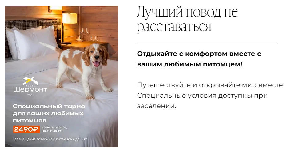 шермонт отзывы шермонт отзывы