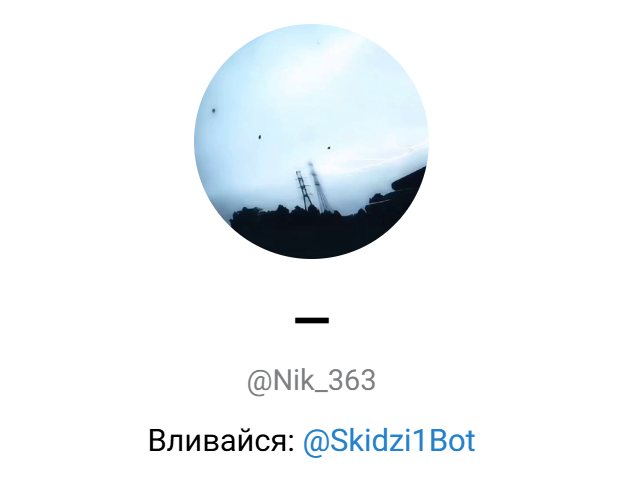 skidzi1bot skidzi1bot