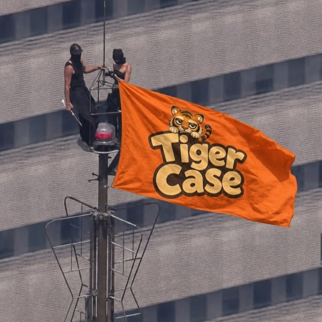Tiger Case